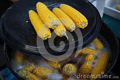 Boiled Corn Cob In Pot With Hot Water And Vapour Preparation Of