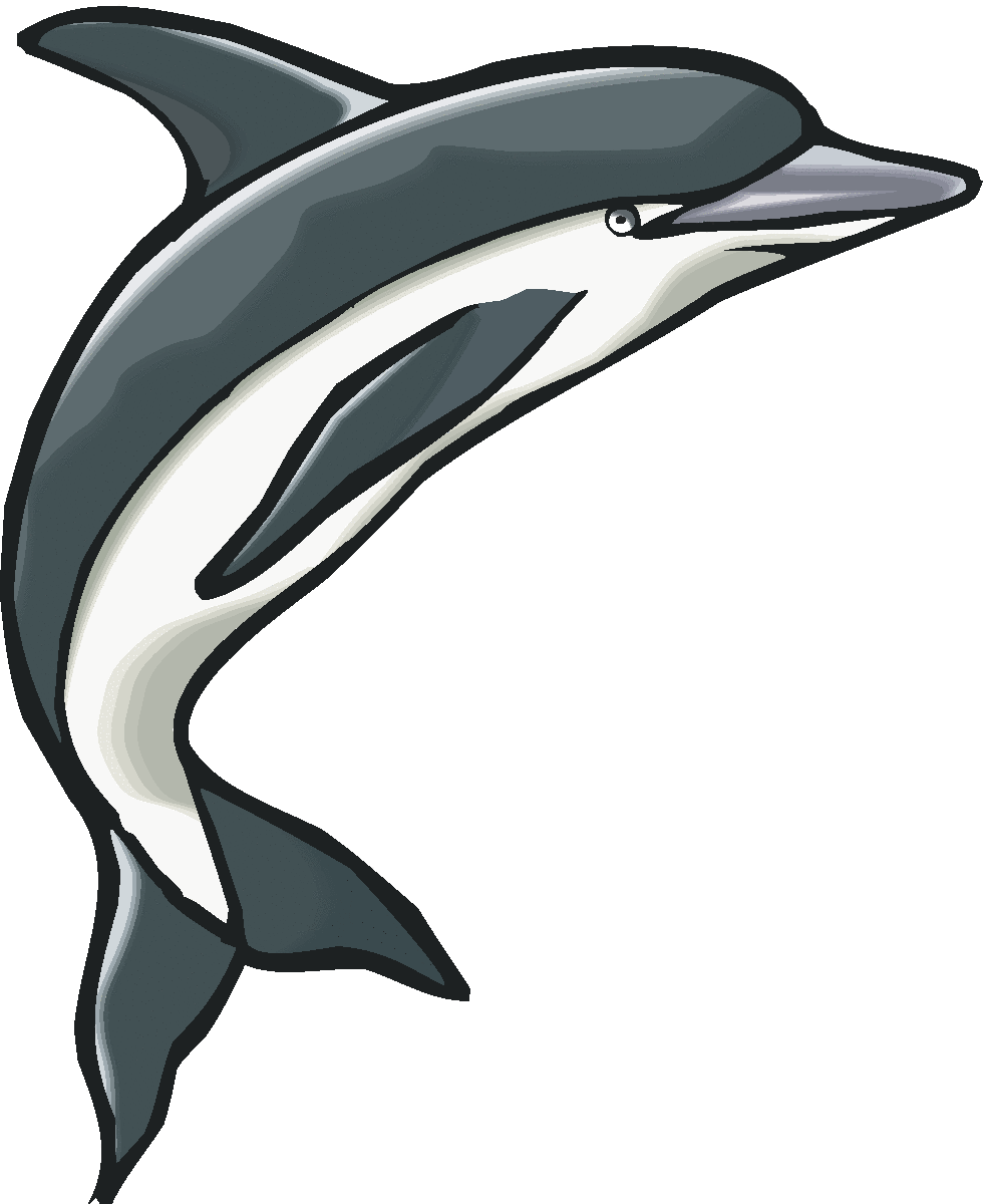 Bottlenose Dolphin Jumping   Clipart Panda   Free Clipart Images
