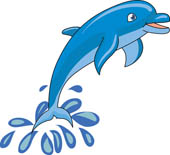 Dolphin Clipart And Graphics