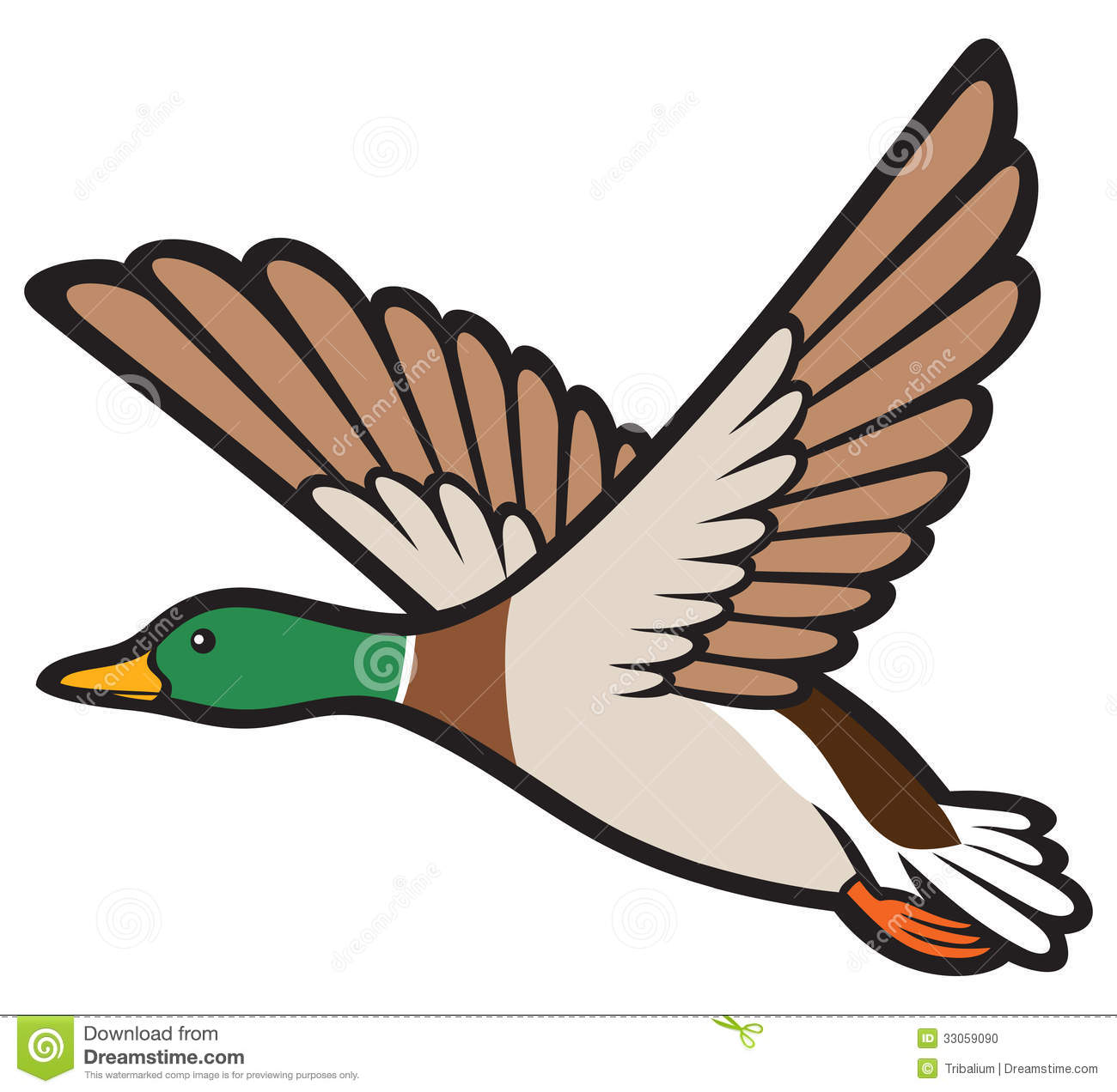 Duck Flying Clipart Mallard Duck Flying Flying
