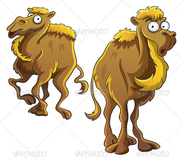 Funny Camel   Animals Characters