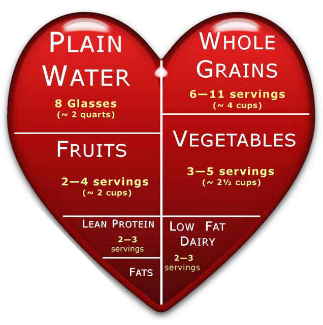 Heart Healthy Food About Healthy Food Pyramid Recipes For Kids Plate