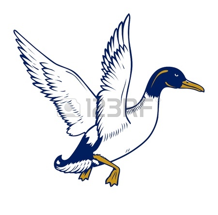 Mallard Duck Flying 11453977 Vector Cartoon Flying Duck Jpg