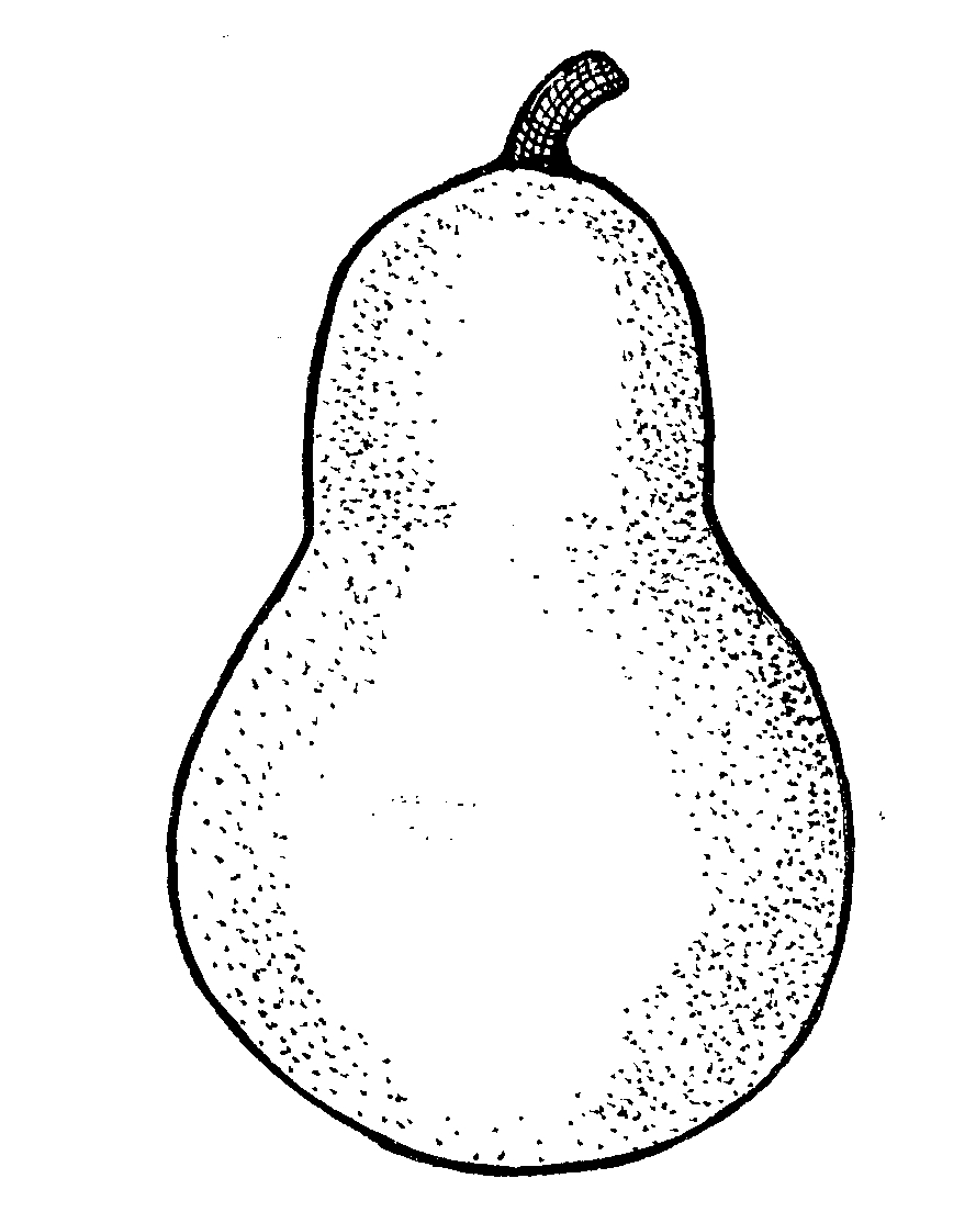 Pear Clipart Black And White White Pears Clipart Black