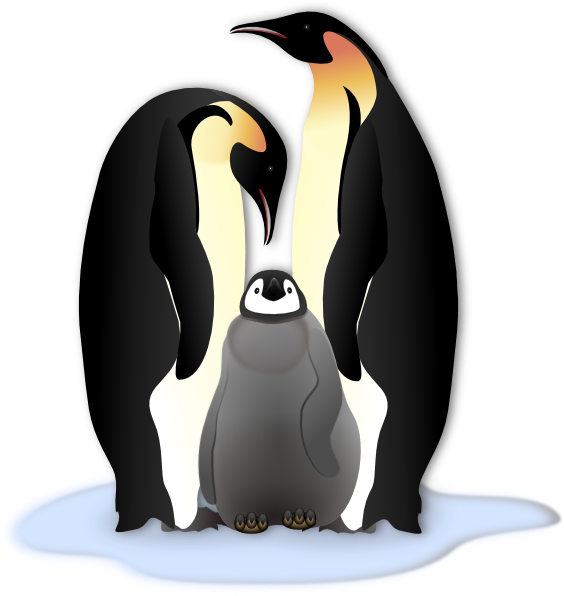 Penguin Family Clip Art At Clker Com   Vector Clip Art Online Royalty