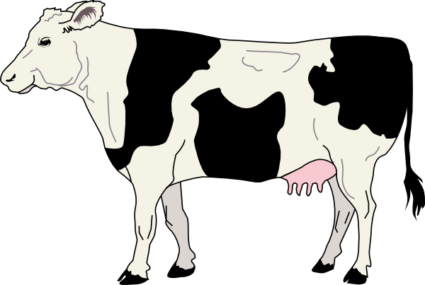Side View Of A Cow Clip Art  Png And Svg