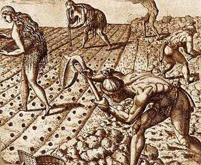 The Jaredites  Sumerian Origins   Agriculture