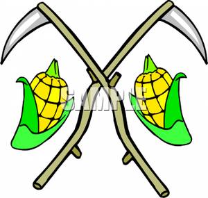 Two Crossed Sickles And Corn Cobs   Royalty Free Clipart Picture