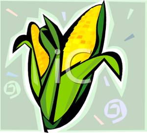 Two Ears Of Corn   Royalty Free Clipart Picture