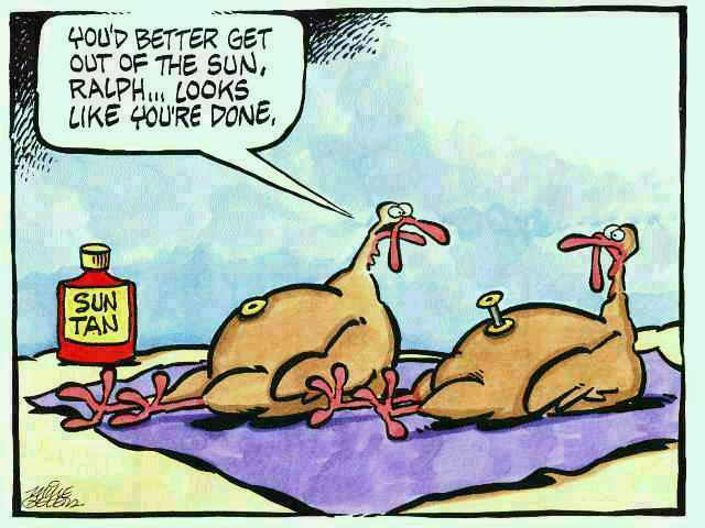 Waety Muluss  Thanksgiving Funny Cartoons