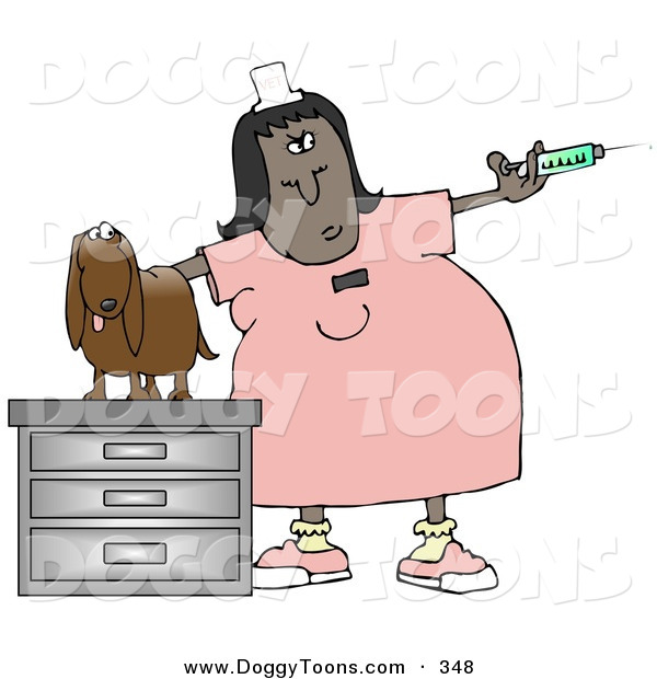     At A Veterinary Technician Holding A Vaccine Syringe By Djart    348