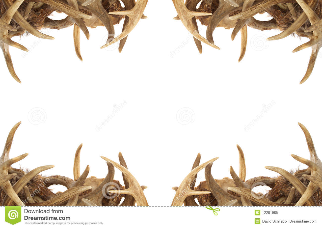 Background Border With Whitetail Deer Antlers Dressing The Corners    