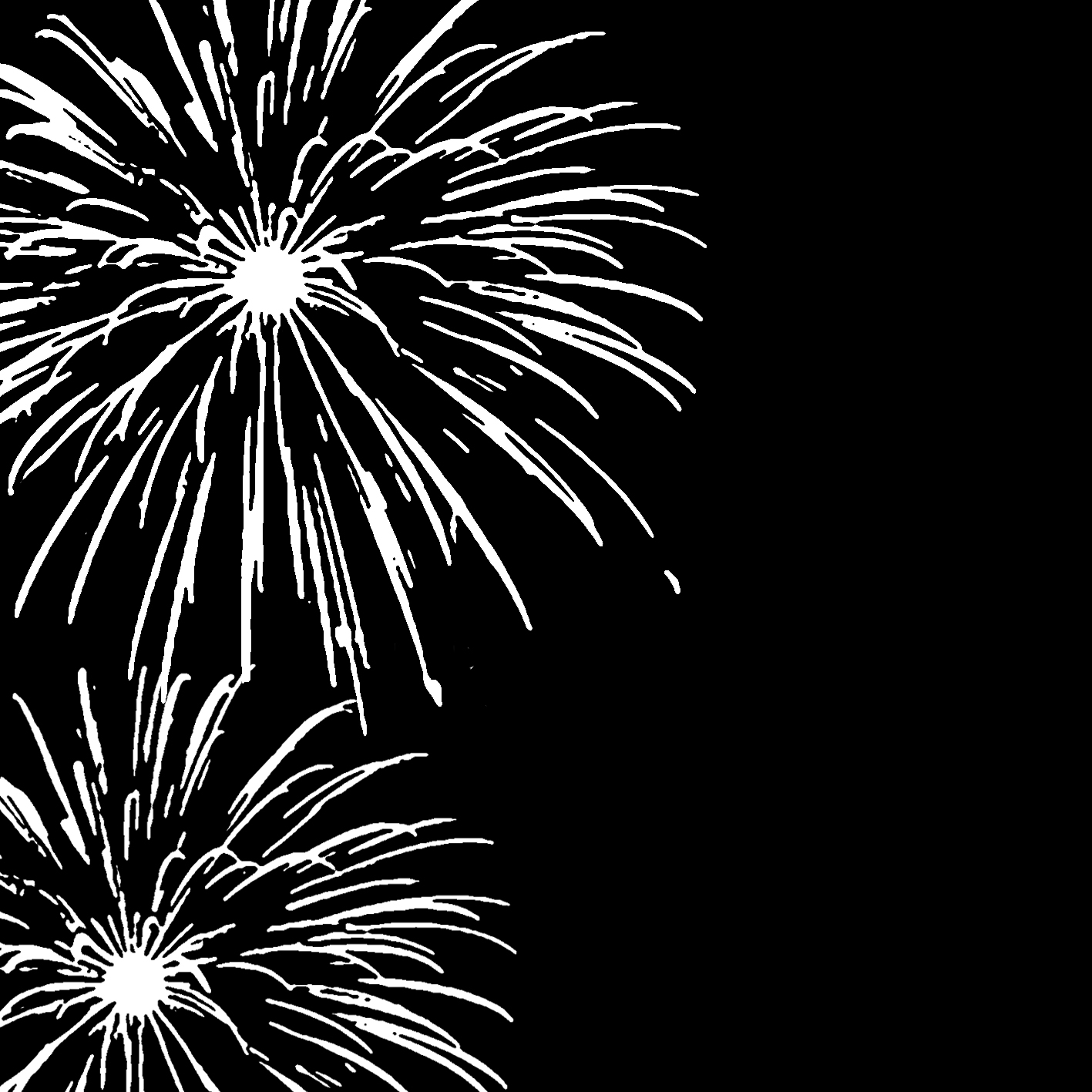 Black And White Fireworks