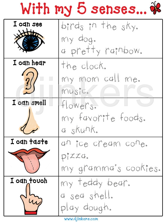 Clipart For Teaching The 5 Senses By Dj Inkers