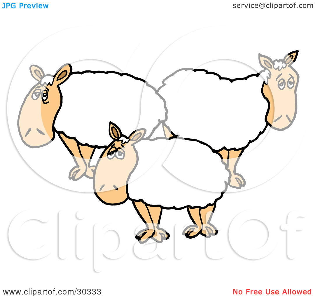 Clipart Illustration Of Three White Sheep With Thick Fleece Standing