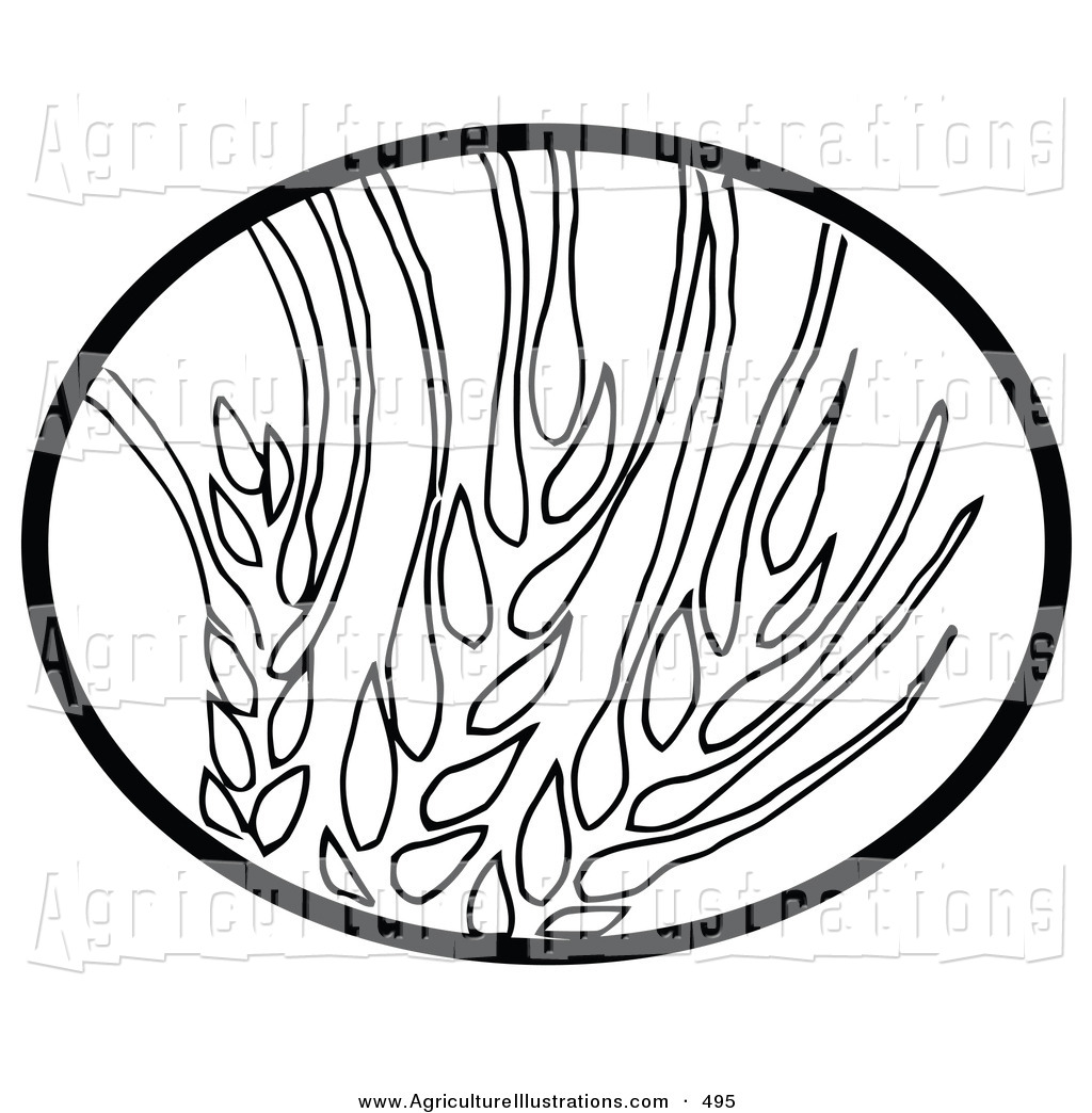     Clipart Of A Black Oval Around A Coloring Page Of Wheat By C Charley