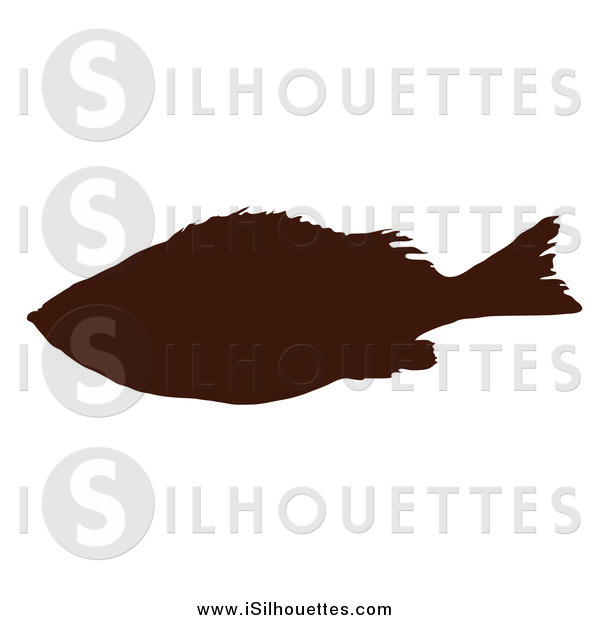 Clipart Of A Dark Brown Silhouetted Fish By Onfocusmedia    885
