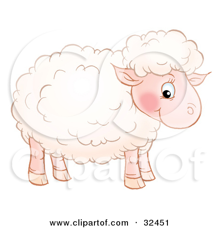 Cute Pink Sheep With Fluffy Wool Standing In Profile And Glancing At    