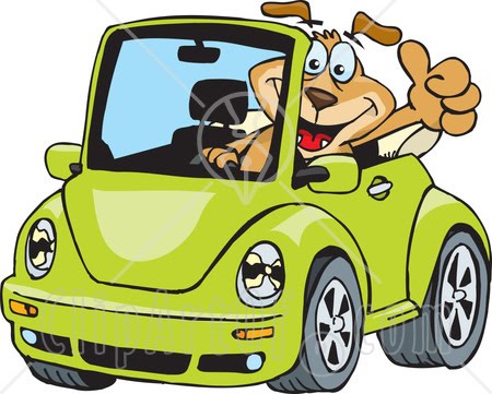 Drivers License Clipart Image Search Results
