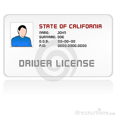 Drivers License Clipart Vector Driver License Card