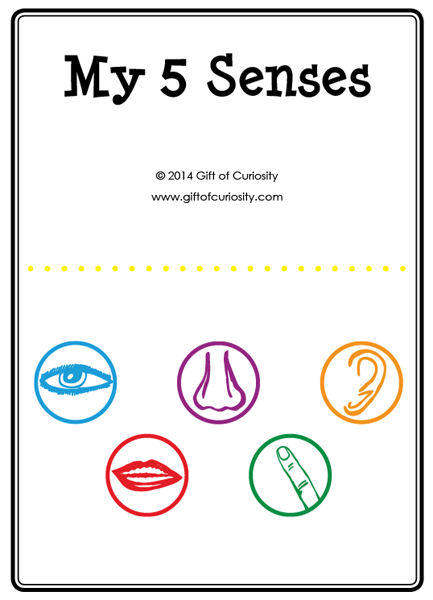 Five Senses Activities  A Printable My 5 Senses Activity Book Plus A    