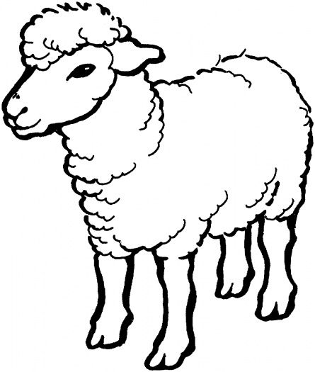 Flock Of Sheep Coloring Page   Clipart Panda   Free Clipart Images