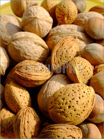 Mixed Nuts Image  Stock Picture To Download At Featurepics Com