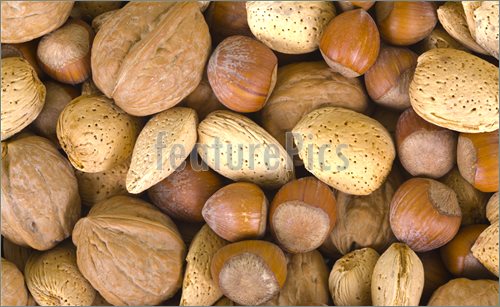 Mixed Nuts Picture  Photo To Download At Featurepics Com