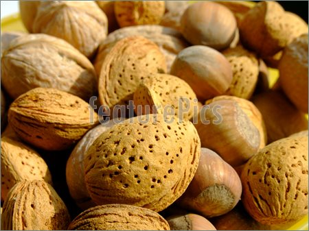 Mixed Nuts Picture  Royalty Free Photo At Featurepics Com