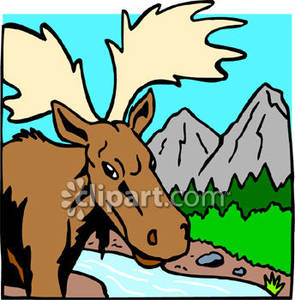 Moose Near A Mountain Stream   Royalty Free Clipart Picture