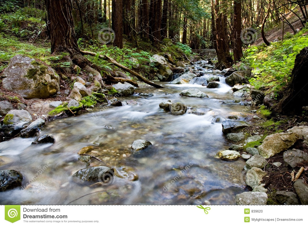 Mountain Stream Stock Photo   Image  839620