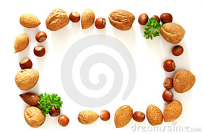 Nuts Photo Frame Stock Images   Image  18764924