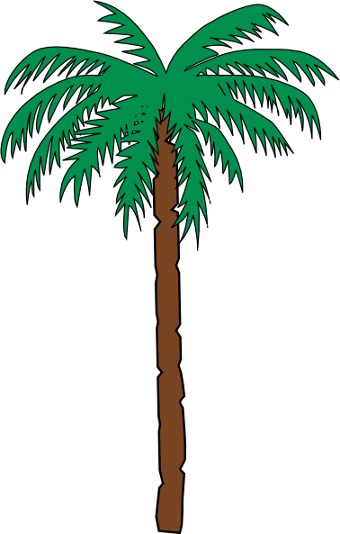 Palm Tree Clip Art At Clker Com   Vector Clip Art Online Royalty Free    