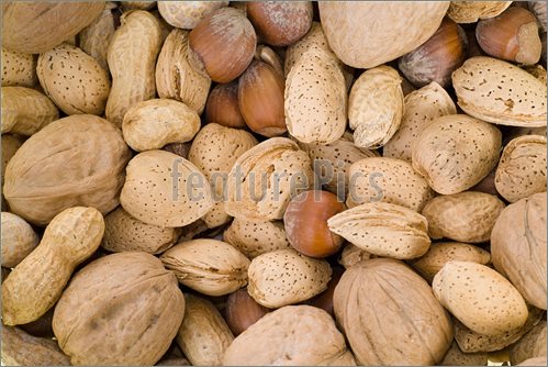 Photo Of Background Of Mixed Nuts Including Walnuts Hazelnuts And    