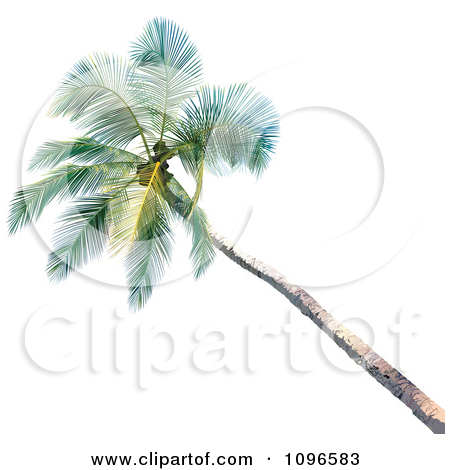 Royalty Free  Rf  3d Palm Tree Clipart Illustrations Vector Graphics
