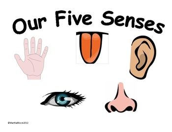 These Colorful Posters Are A Great Tool For Teaching The 5 Senses
