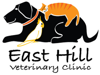 Veterinary Clinic Logo Design Clipart