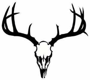 Deer Skull   Free Images At Clker Com   Vector Clip Art Online    