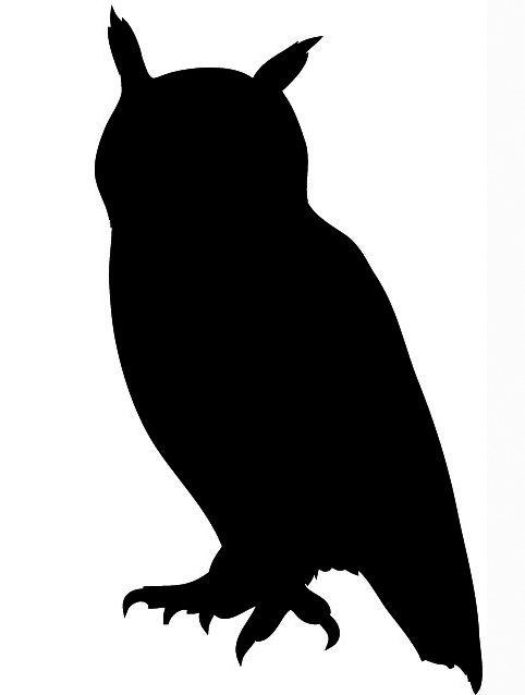 Flying Owl Silhouette Bird Silhouette Owl Silhouette Jpg