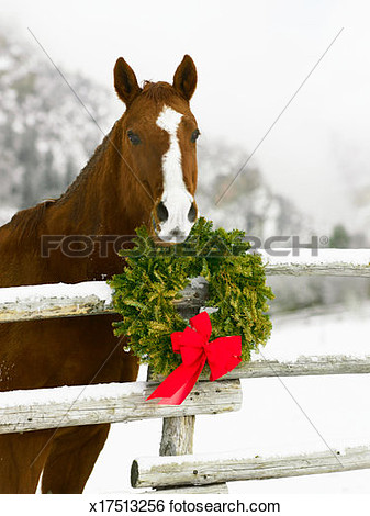 Horse Looking Over Fence In Snow Next To Christmas Wreath View Large