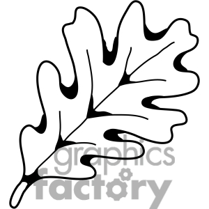 Maple Leaf Clipart Black And White   Clipart Panda   Free Clipart    