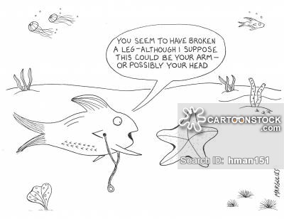 Starfish Cartoons Starfish Cartoon Funny Starfish Picture Starfish    