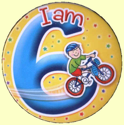 6th Birthday Badge Bike   Party Wizard