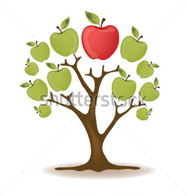 Apple  Tree Vector Illustration