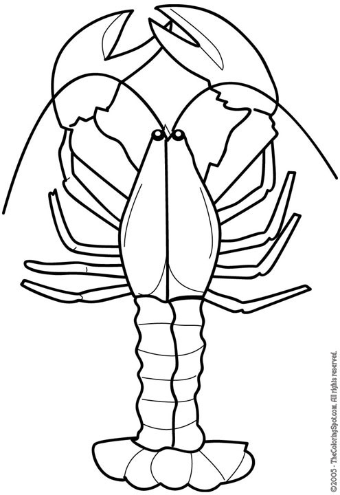 Black And White Lobster Clipart Info