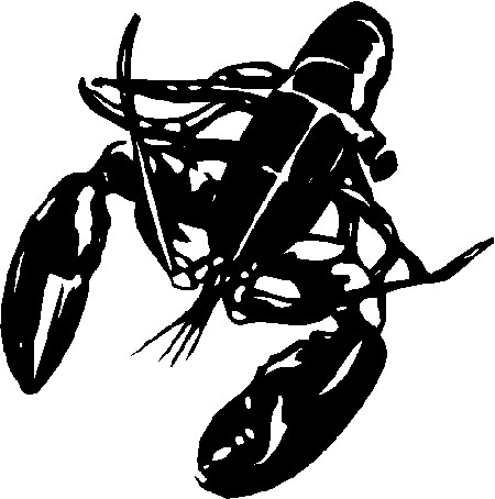 Cartoon Black And White Lobster   Free Cliparts That You Can