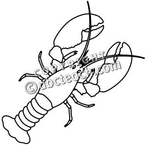 Lobster Clip Art Black And White   Clipart Panda   Free Clipart Images