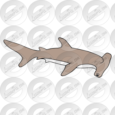 Picture For Classroom   Therapy Use   Great Hammerhead Shark Clipart