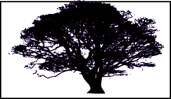 Tree Background Clip Art At Clker Com   Vector Clip Art Online
