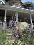 Victorian Garden With Pretty Moth Stock Photo